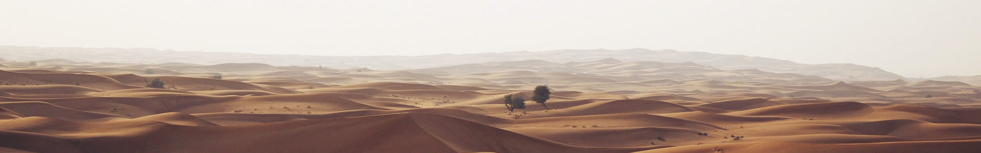 ݸˮƼ޹˾
